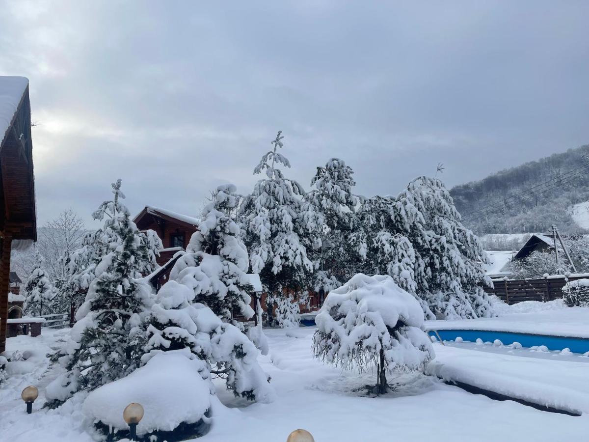 Villa Затишна De Luxe Mykulychyn Εξωτερικό φωτογραφία